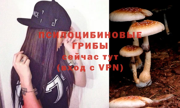 марки nbome Горняк